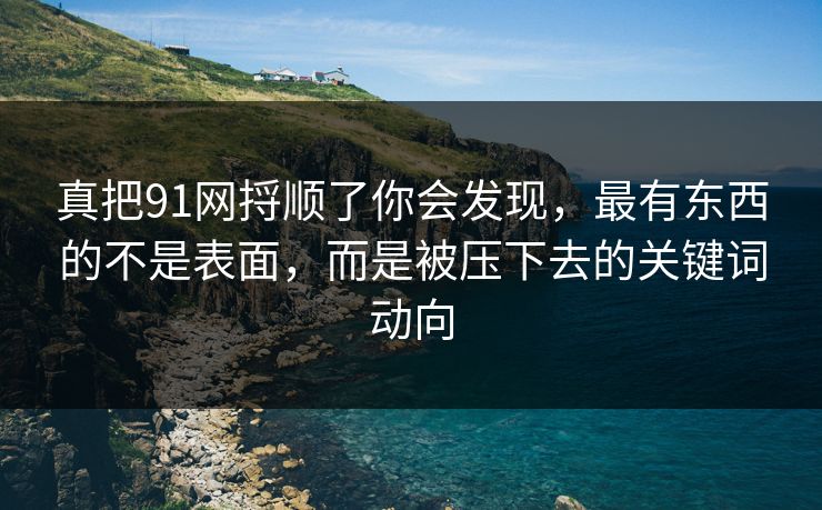 真把91网捋顺了你会发现，最有东西的不是表面，而是被压下去的关键词动向