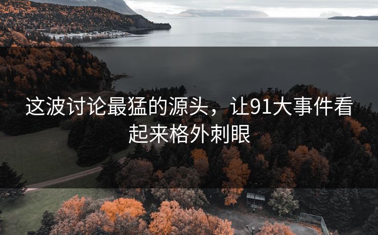 这波讨论最猛的源头，让91大事件看起来格外刺眼
