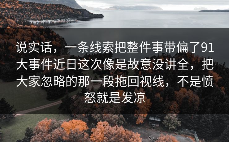 说实话，一条线索把整件事带偏了91大事件近日这次像是故意没讲全，把大家忽略的那一段拖回视线，不是愤怒就是发凉