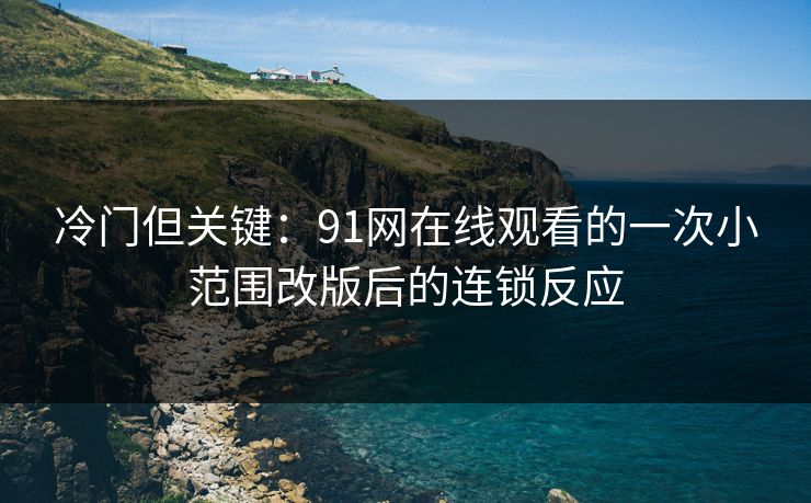 冷门但关键：91网在线观看的一次小范围改版后的连锁反应