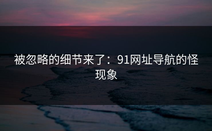 被忽略的细节来了：91网址导航的怪现象