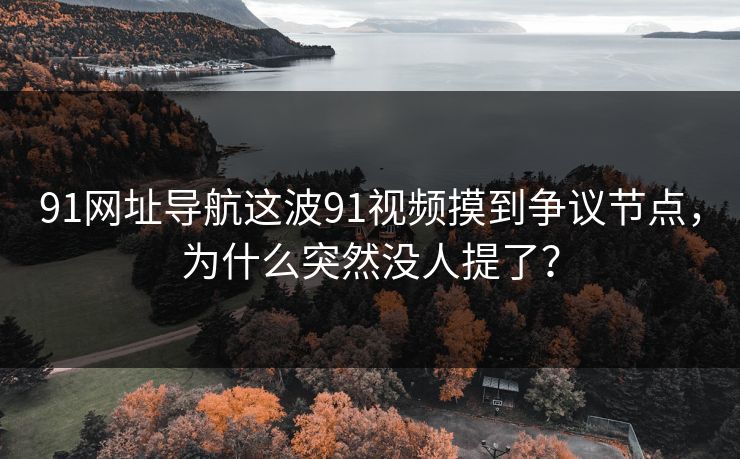 详细阅读:91网址导航这波91视频摸到争议节点,为什么突然没人提了? 91网址导航这波91视频摸到争议节点,为什么突然没人提了?