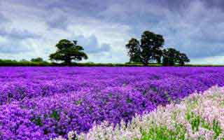 91大事件每日大赛:真相或隐藏在那最不起眼的几秒钟里