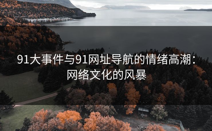 91大事件与91网址导航的情绪高潮：网络文化的风暴