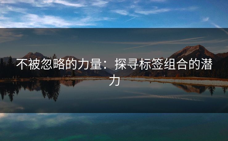 不被忽略的力量：探寻标签组合的潜力