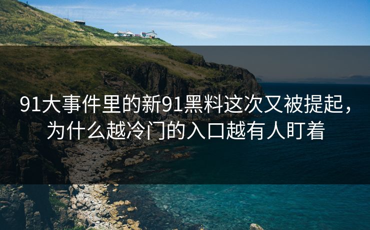 91大事件里的新91黑料这次又被提起，为什么越冷门的入口越有人盯着