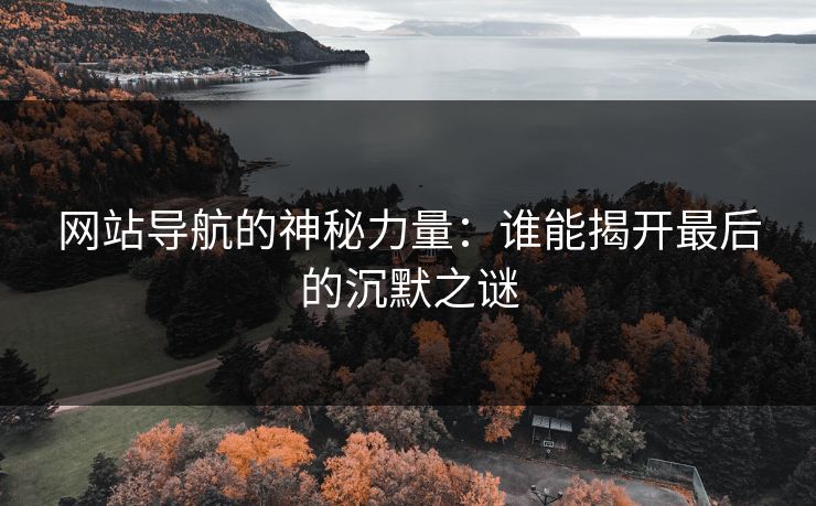 网站导航的神秘力量：谁能揭开最后的沉默之谜