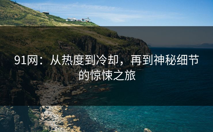 91网：从热度到冷却，再到神秘细节的惊悚之旅