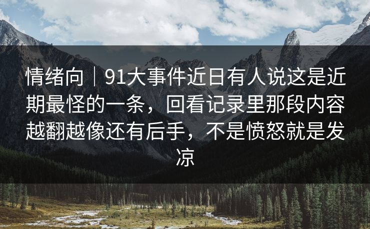 情绪向｜91大事件近日有人说这是近期最怪的一条，回看记录里那段内容越翻越像还有后手，不是愤怒就是发凉