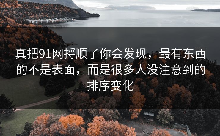真把91网捋顺了你会发现，最有东西的不是表面，而是很多人没注意到的排序变化