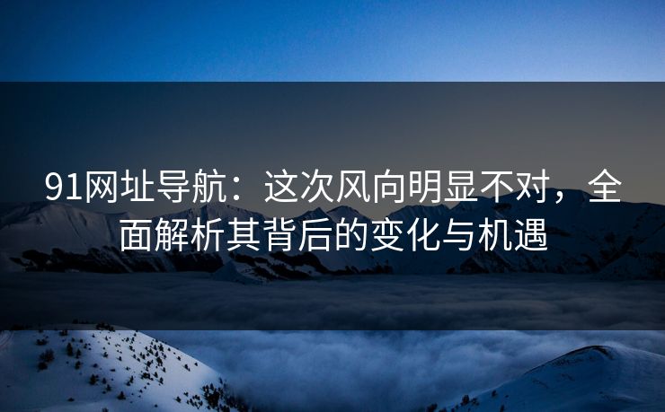91网址导航：这次风向明显不对，全面解析其背后的变化与机遇