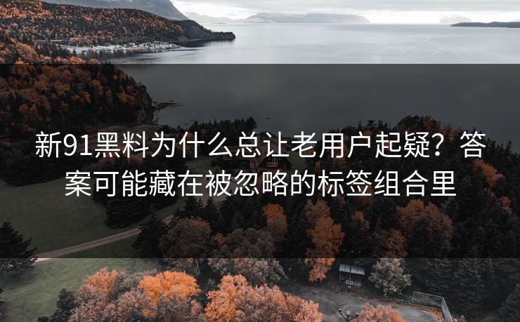 新91黑料为什么总让老用户起疑？答案可能藏在被忽略的标签组合里